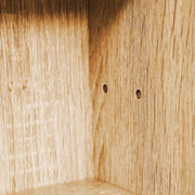 Innenansicht der Sammlervitrine Setzkasten COLLECTIONI mit Eichendekor-Seitenwänden und zwei Befestigungslöchern.