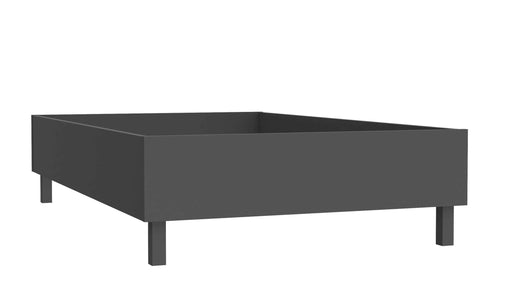 Bett Jugendbett CLARITUDO 120 x 200 cm Optik Dunkelgrau von Forte