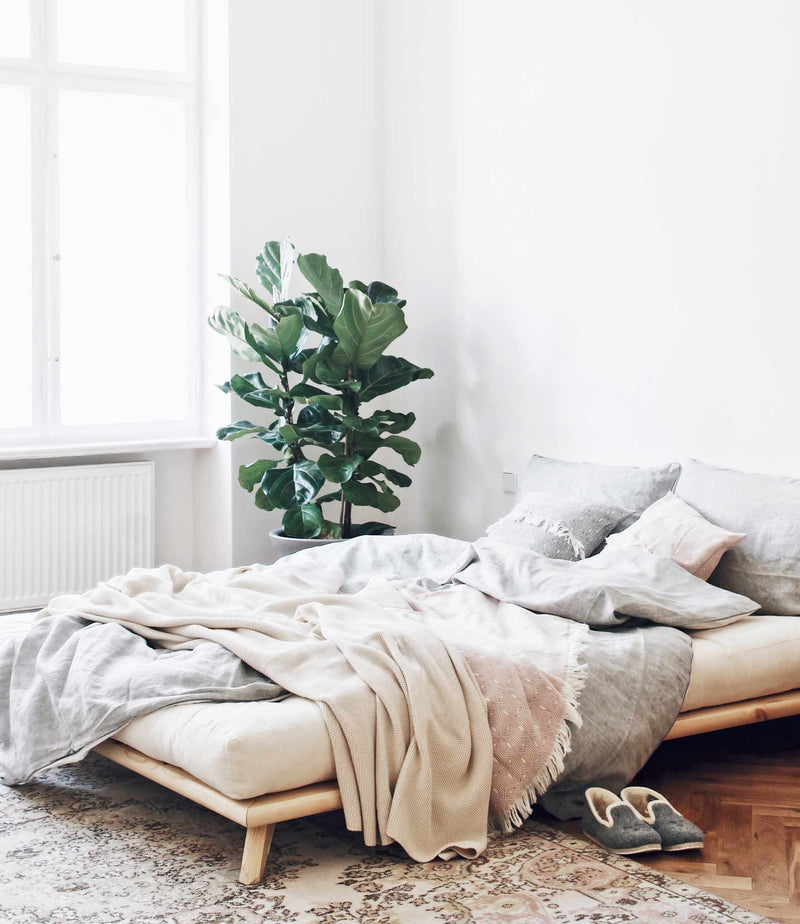Massivholzbett Bett SENZA Futonbett Gestell Kiefer natur von Karup