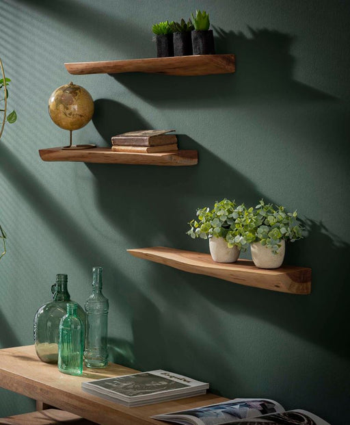 Wandboard Steckboard KANT 3er-Set Akazie lackiert mit Baumkante in Gesamtansicht an grüner Wand mit Pflanzen und Dekoration.