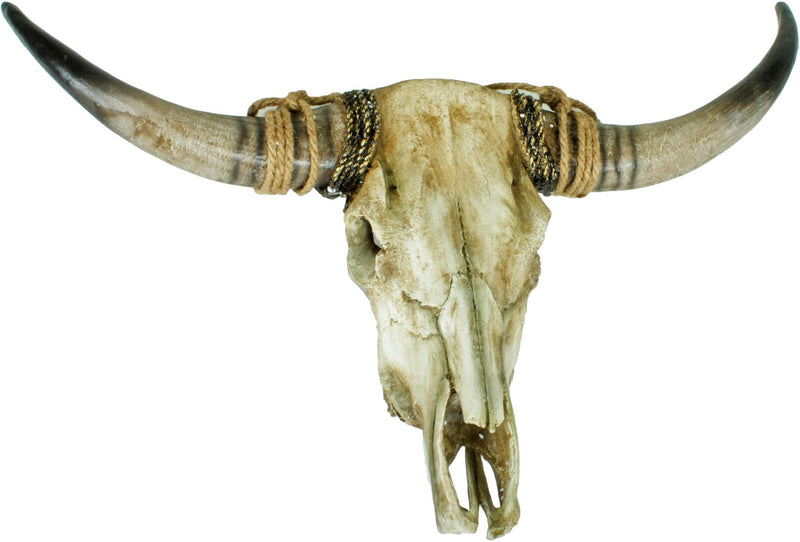 Geweih Wanddekoration Longhorn Polyresin Hörnern 79 cm