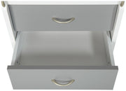 Rollcontainer PRINTI mit 4 Schubladen Grau / Weiß