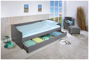 Ausziehbett LEONIE 23 Kiefer Grau lackiert Sofabett mit Schublade
