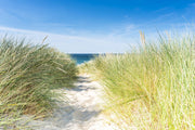 Seitenmarkise Sichtschutz Motiv "Nordseeküste" von GardenPleasure