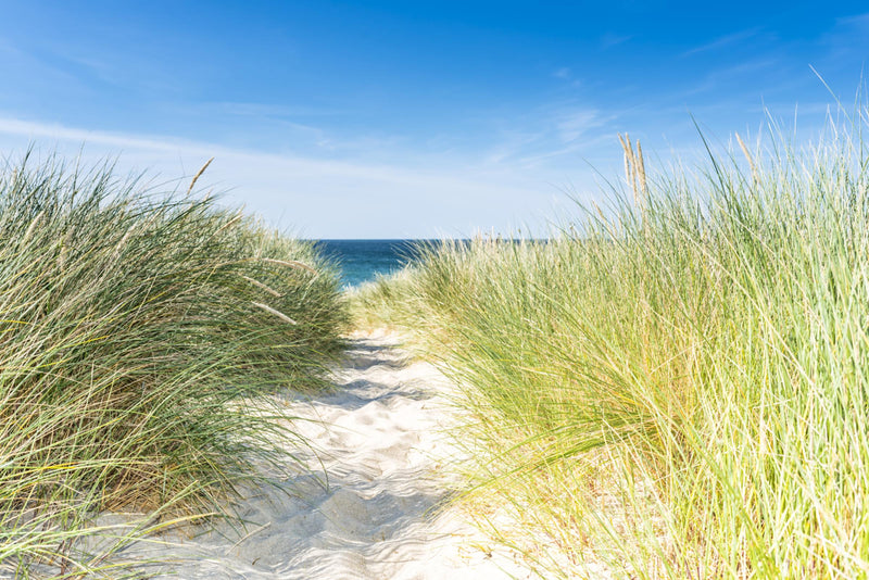 Seitenmarkise Sichtschutz Motiv "Nordseeküste" von GardenPleasure