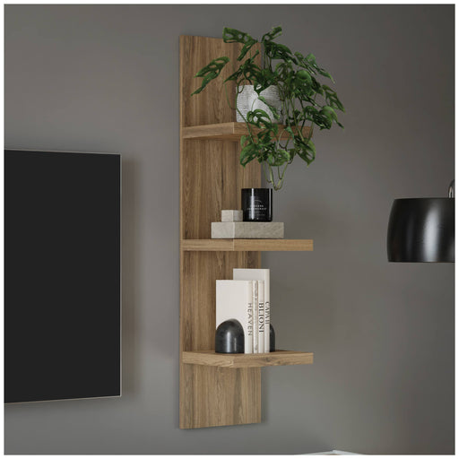Wandboard LEWISVILLE B03 mit Ablagen in Valencia-Oak-Optik, Gesamtansicht an der Wand mit dekorativen Objekten und Pflanze.