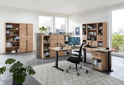 Büroschrank SONOS HU02 Front Altesche Massivholz gebürstet