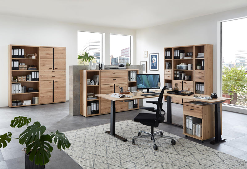 Büroschrank SONOS HU02 Front Altesche Massivholz gebürstet