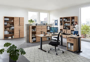 Büroregal SONOS HU06 Front Altesche Massivholz gebürstet
