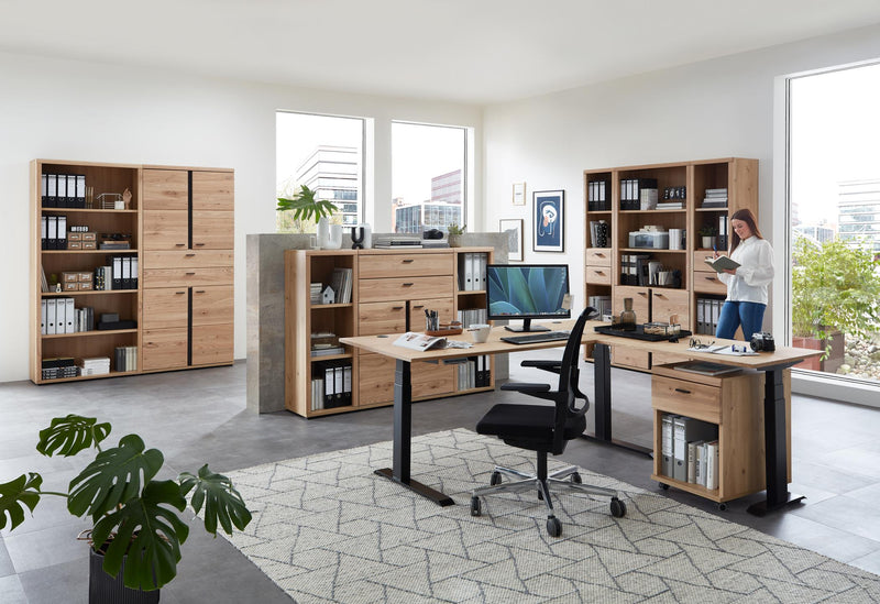 Büroregal SONOS HU06 Front Altesche Massivholz gebürstet