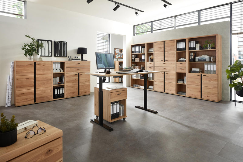 Büroregal SONOS HU06 Front Altesche Massivholz gebürstet