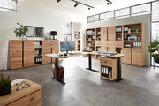 Büroschrank SONOS HU11 Front Altesche Massivholz gebürstet