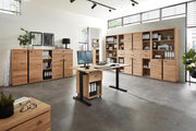 Büroschrank SONOS HU12 Front Altesche Massivholz gebürstet