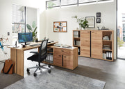 Büroschrank SONOS HU21 Front Altesche Massivholz gebürstet