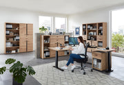 Komplettbüro SONOS IV 10-teilig Front Altesche Massivholz gebürstet