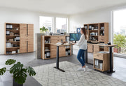 Komplettbüro SONOS IV 10-teilig Front Altesche Massivholz gebürstet