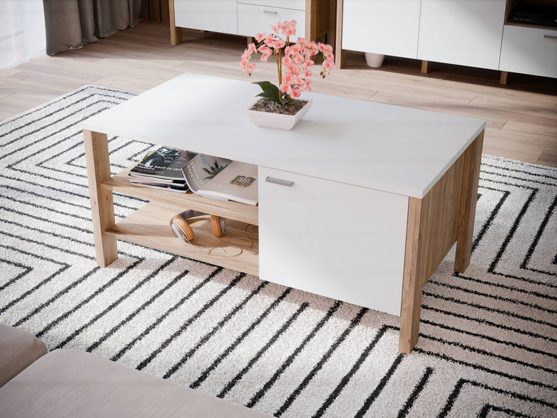 Couchtisch SAITAMA mit 2 Türen Mauvella Eiche / Secret Grey