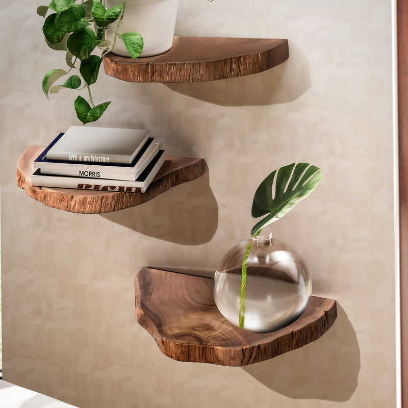 Wandregal 3er Set Akazie Vollholz Baumkante Natur Modern