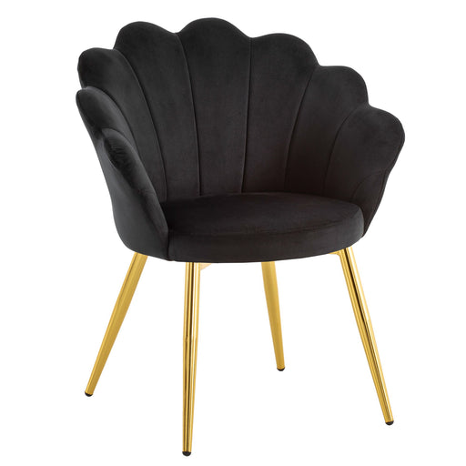Esszimmerstuhl Tulpe Samt Schwarz mit muschelförmiger Rückenlehne und goldenen Metallbeinen.