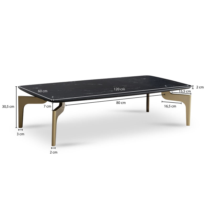 Couchtisch 120x60x30,5cm Hochglanz Marmoroptik Schwarz Gold Metallgestell
