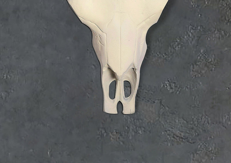 Deko Geweih Büffel-Schädel 55,5cm Aluminium Weiß Modern Wanddeko