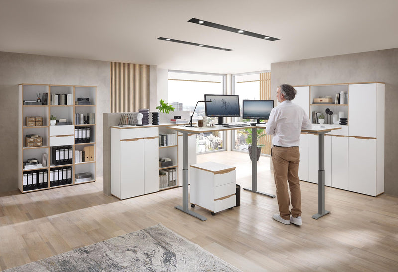 Büroschrank MEMPHIS 2-türig WH10 Weiß supermatt & Artisan Eiche