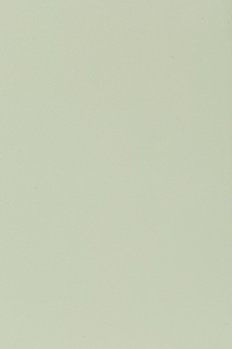 Esszimmerstuhl Clive im 4er-Set, Hellgrün aus Kunststoff, stapelbar