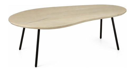 Couchtisch Nierenform Mango Massivholz White Wash mit schwarzen Metallbeinen, Gesamtansicht von vorne.