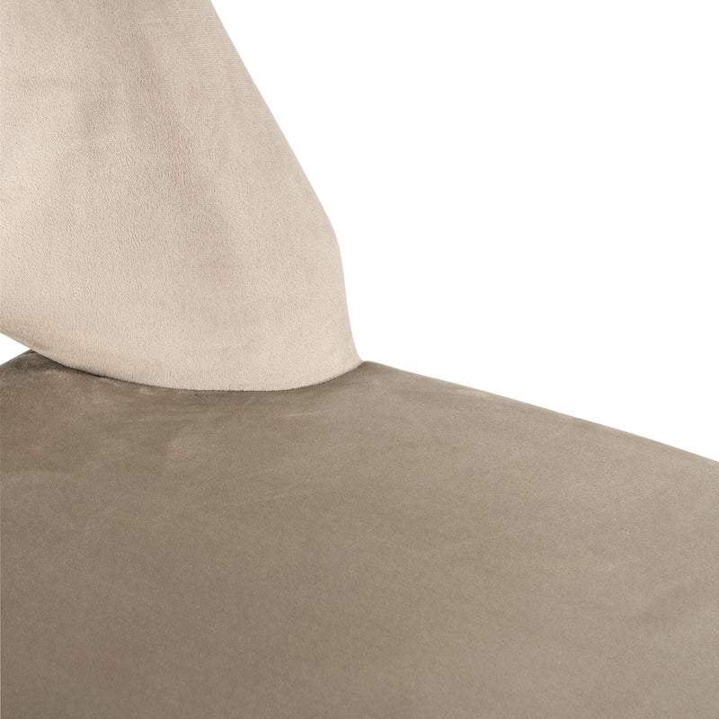 Richmond Esszimmerstuhl Tabitha Trendy Nature im 2er-Set