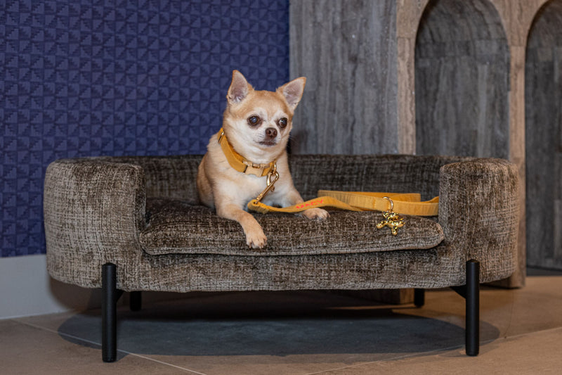 Hundebett Dolly Niagara Stone – Chenille-Polster, erhöhte Seiten