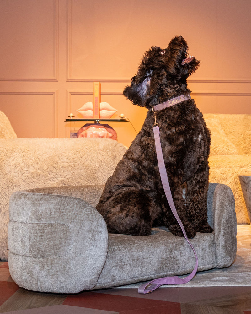 Hundebett Bingo Richmond in Clay Chenille – kuschelig & elegant