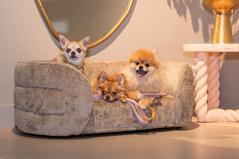 Hundebett Bingo Taupe Chenille – kuscheliger Rückzugsort für Hunde