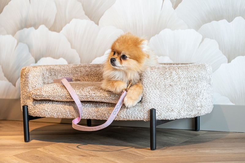 Hundebett Dolly beige Blockweave – stilvoller Liegeplatz für Hunde