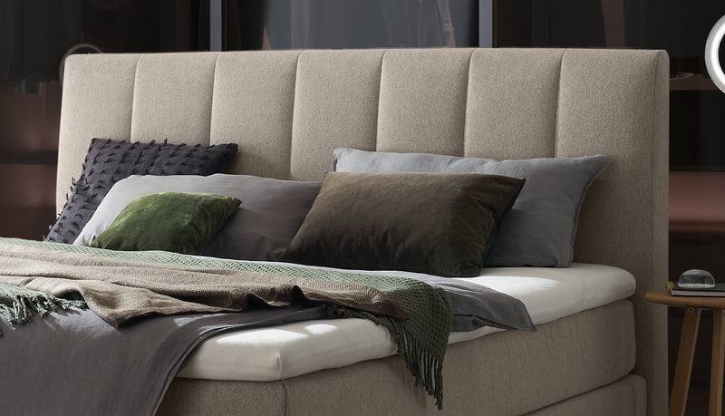 Hasena Boxspringbett Stefania Eiche bright mit Bezug Pace Light Grey
