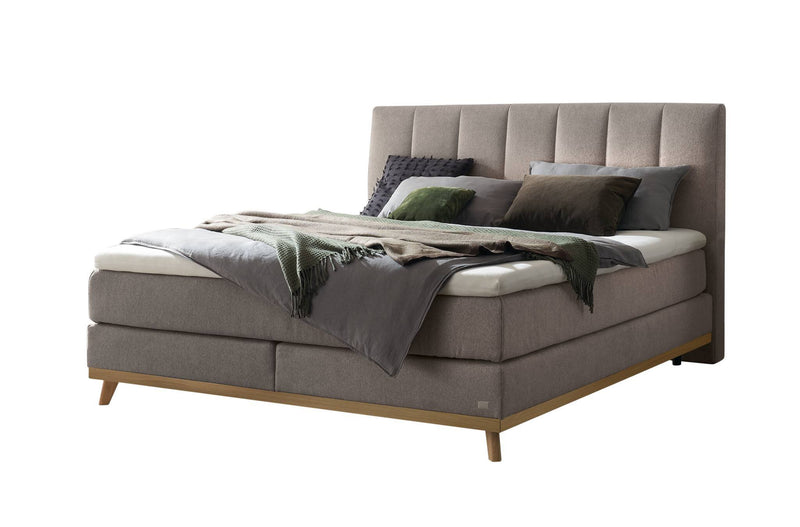 Hasena Boxspringbett Stefania in Eiche bright mit Bezug Pace grey