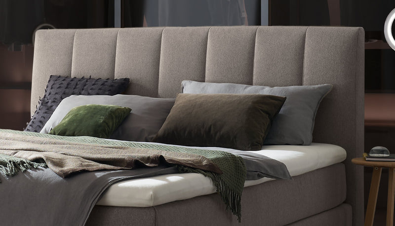 Hasena Boxspringbett Stefania in Eiche bright mit Bezug Pace grey
