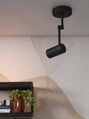 Deckenleuchte RoMi Montreux in Schwarz mit schwenkbarem Strahler an der Decke, daneben eine Pflanze im Regal.
