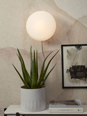 Die runde, opalweiße Glaskugel der RoMi Wandleuchte Sapporo leuchtet warm an einer Wand mit Pflanze und Bildern.